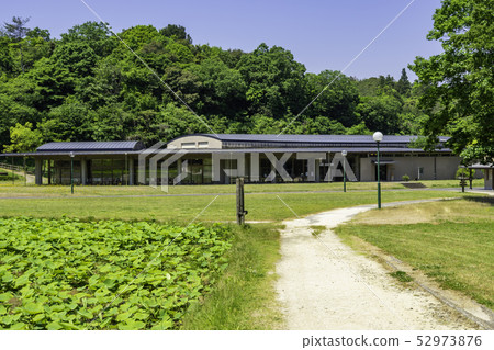 島根縣出雲市出雲市淀川町Arakatani遺址Arakadani博物館 52973876
