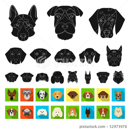 black muzzle dog breeds
