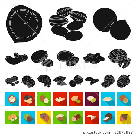 Different kinds of nuts black,flat icons in set collection for design.Nut Food vector symbol stock 52973988