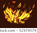 flame  52974579
