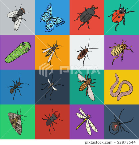 Different kinds of insects cartoon icons in set collection for design. Insect arthropod vector Different kinds of insects cartoon icons in set collection for design. Insect arthropod vector 52975544