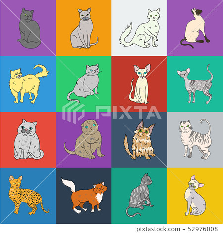 Breeds of cats cartoon icons in set collection for design. Pet cat vector symbol stock web 52976008