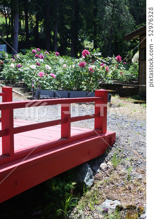 Hasebotan花園 Hasebotan花園 52976328