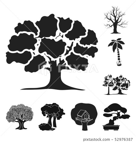 Vector design of tree  and forest icon. Set of tree  and green stock symbol for web. 52976387