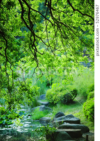 Fresh green 52976467