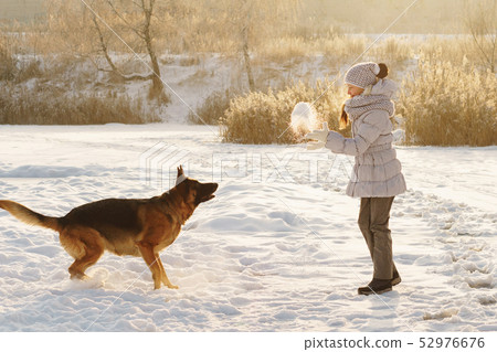 Cute girl and German shepherd. Winter Cute girl and German shepherd. Winter 52976676