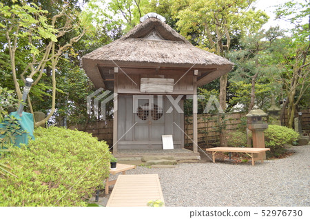 In the garden of Shonan, Oiso, and Ryotei 52976730