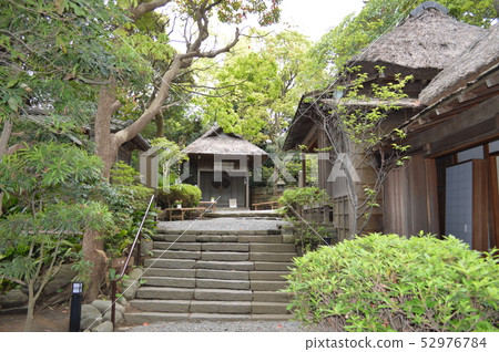 在Shonan,Oiso和Ryotei的花園裡 在Shonan,Oiso和Ryotei的花園裡 52976784