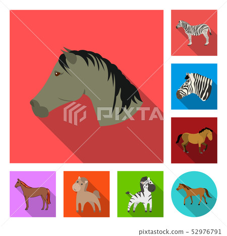 Isolated object of trot and running sign. Collection of trot and clipart stock symbol for web. 52976791