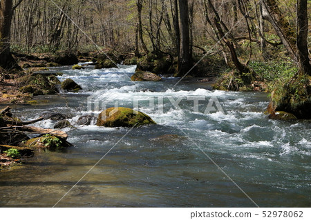 Oirase mountain stream in Aomori Prefecture, Japan Oirase mountain stream in Aomori Prefecture, Japan 52978062