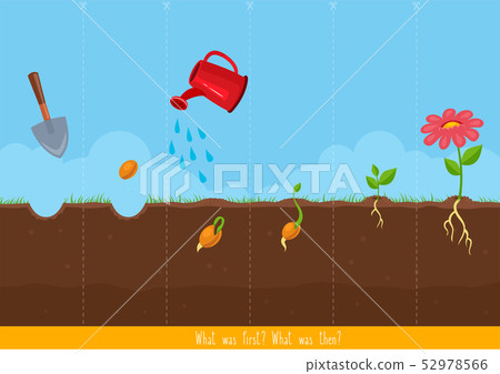 Educational children game, vector. 52978566