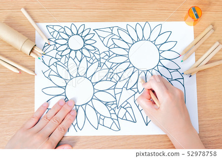 Woman painting a coloring book Woman painting a coloring book 52978758