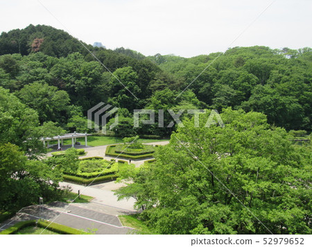 仙台市青葉區太原森林公園 仙台市青葉區太原森林公園 52979652