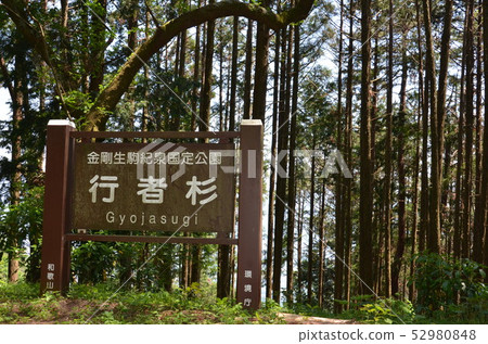 Goder cedar diamond trail Goder cedar diamond trail 52980848