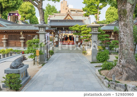 Kushida Shrine (Hakata Ward, Fukuoka City) 52980960