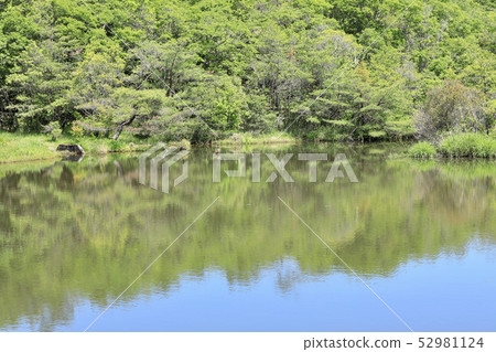 Aichi Earth Expo, Nature of Morikoro Park (Aichi Prefecture) 52981124