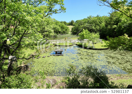 Aichi Earth Expo, Nature of Morikoro Park (Aichi Prefecture) 52981137