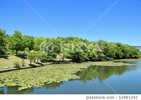 Aichi Earth Expo, Nature of Morikoro Park (Aichi Prefecture) 52981242