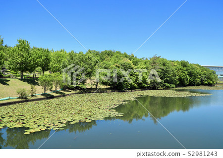 Aichi Earth Expo, Nature of Morikoro Park (Aichi Prefecture) 52981243