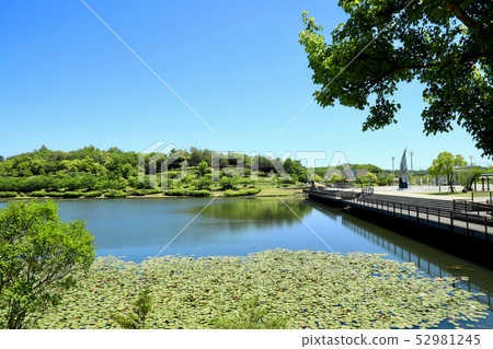 Aichi Earth Expo, Nature of Morikoro Park (Aichi Prefecture) 52981245