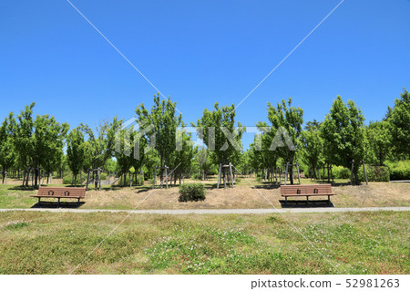 Aichi Earth Expo, Nature of Morikoro Park (Aichi Prefecture) 52981263