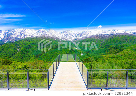 白馬山港[長野縣]絕景露台 52981344