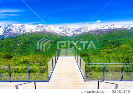 Superb view terrace Hakuba Mountain Harbor [Nagano Prefecture] 52981349