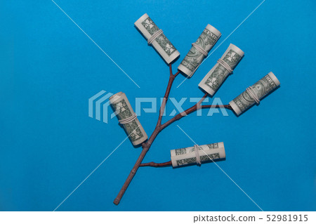 Plant with young buds in a paper money. 52981915