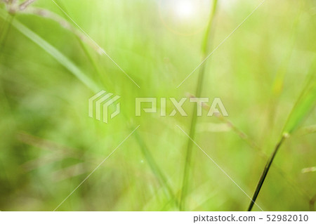 Abstract blurred nature background. 52982010