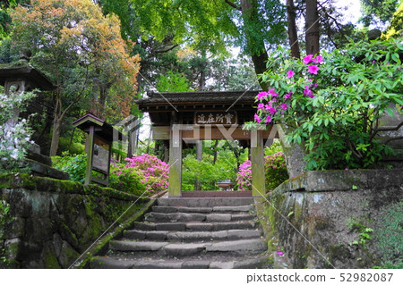 鎌倉719 Jochi Temple Somon的May Tsukuji 鎌倉719 Jochi Temple Somon的May Tsukuji 52982087