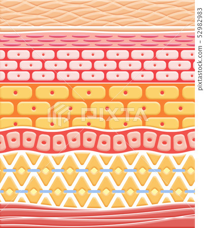 Skin Skin 52982983