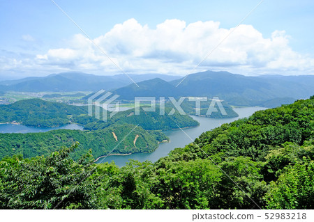 Mikata Goryo 52983218