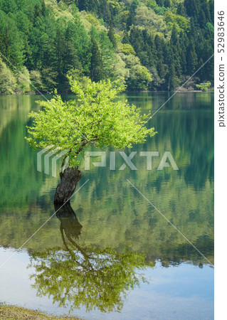 Hokuryū湖 Hokuryū湖 52983646