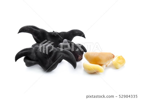 Water chestnut isolated on white background Water chestnut isolated on white background 52984335
