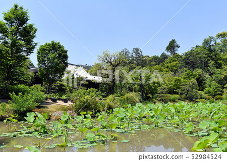 Hokingoin Hokingoin 52984524