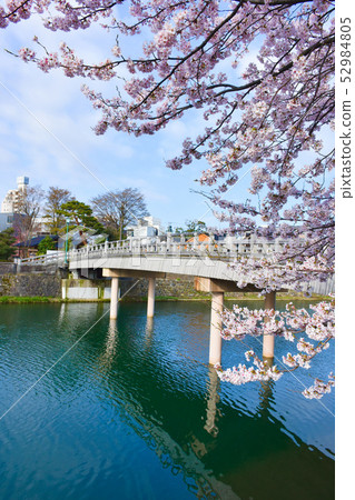 淺野河主要項目鎮和橋櫻花中 淺野河主要項目鎮和橋櫻花中 52984805