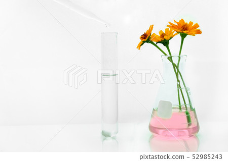 drop of water in test tube with orange flower 52985243