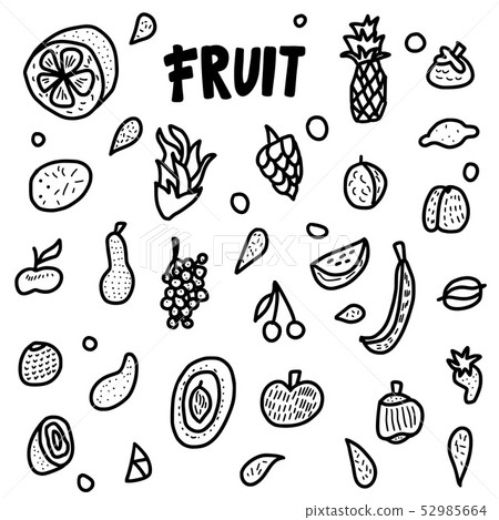 Fruit vector concept in doodle style. 52985664