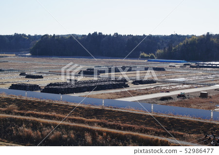 radioactivity 52986477