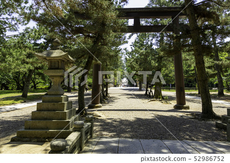 Shimane Prefecture Izumo Izumo Taisha Pine Approach 52986752