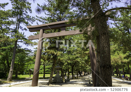 Shimane Prefecture Izumo Izumo Taisha approach torii 52986776