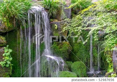Falling water of Japanese garden Falling water of Japanese garden 52987656