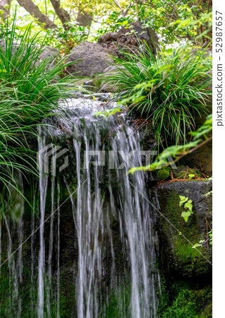 Falling water of Japanese garden Falling water of Japanese garden 52987657