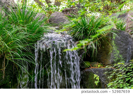 Falling water of Japanese garden 52987659