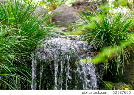 Falling water of Japanese garden 52987660