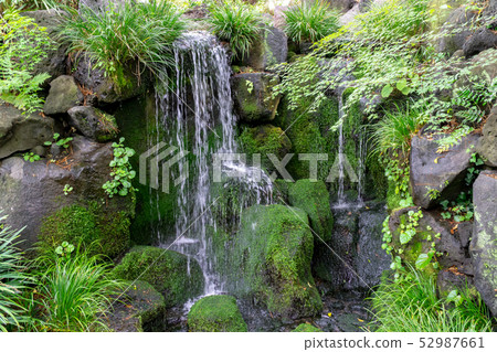 Falling water of Japanese garden 52987661