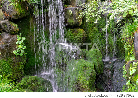 Falling water of Japanese garden 52987662