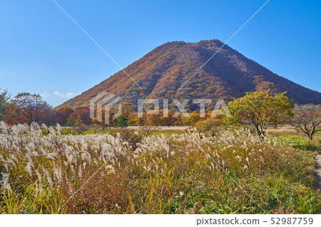 秋天在群馬縣榛名湖的Haruna Melody線（縣道33號）附近看Haruna Fuji 52987759