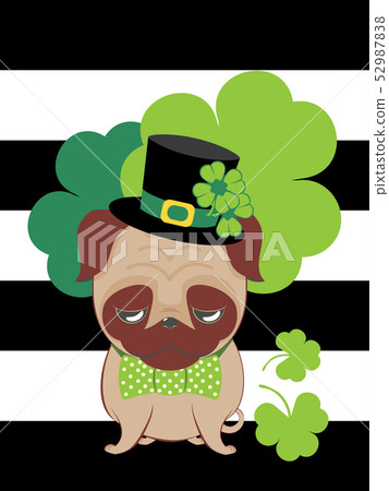 Pug with shamrock Pug with shamrock 52987838