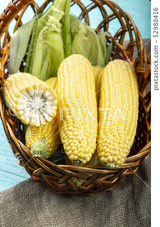 sweet corn in the basket sweet corn in the basket 52988416